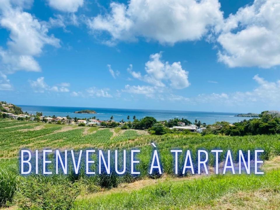 Residence De La Baie - Bleu Soleil Tartane La Trinite Ngoại thất bức ảnh